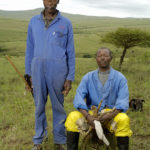 Herdar fångade av Gerhard Jörén på en av hans underbara bilder, KwaZulu, Sydafrika.