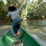 En något vådlig färd på Borneo till en bosättning dit inga landsvägar gick. Gerhard Jörén tog fotot.